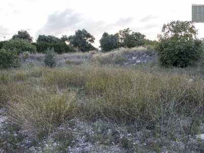 ...che ci permette di scendere nell�alveo dell�antico fiume. Il nostro viaggio comincia da qui